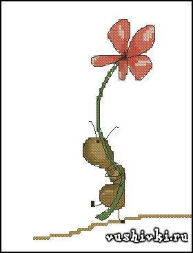 Ant with a flower (Татьяна Марчукова)