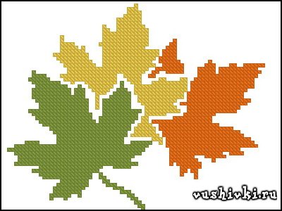 Maple leaves (Татьяна Марчукова)